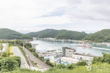 삼덕항 - 주변 여행 및 근처 관광 명소 - 국내 여행 정보와 관광 명소 정보