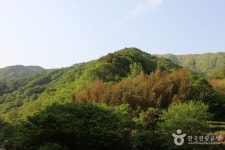 지리산국립공원(하동) 관광 정보와 주변 관광 명소 및 근처 맛집 여행 정보