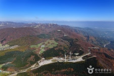 Daegwallyeong Special Tourist Zone (대관령 관광특구) - Sightseeing - Korea travel and tourism information