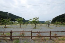 서해땅끝파도리아치내캠핑장 레저스포츠 정보와 주변 관광 명소 및 근처 맛집 여행 정보