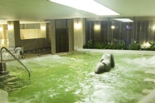 수목원생활온천 관광 정보와 주변 관광 명소 및 근처 맛집 여행 정보