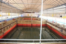 어심바다낚시터 레저스포츠 정보와 주변 관광 명소 및 근처 맛집 여행 정보