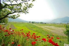 [지리산둘레길] 송정-오미 레저스포츠 정보와 주변 관광 명소 및 근처 맛집 여행 정보