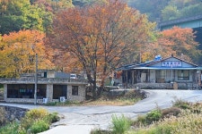 함양 군자정 - 주변 여행 및 근처 관광 명소 - 국내 여행 정보와 관광 명소 정보