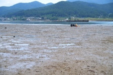 전도갯벌체험장 관광 정보와 주변 관광 명소 및 근처 맛집 여행 정보
