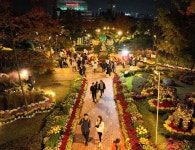 유성국화축제 최신 축제 공연 행사 정보와 주변 관광 명소 및 근처 맛집 여행 정보