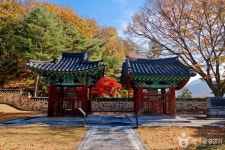 어제 달천 충렬사비 관광 정보와 주변 관광 명소 및 근처 맛집 여행 정보