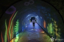 화암동굴 (강원고생대 국가지질공원) 관광 정보와 주변 관광 명소 및 근처 맛집 여행 정보