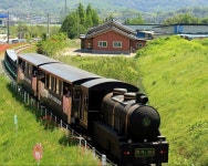 하동레일파크 레저스포츠 정보와 주변 관광 명소 및 근처 맛집 여행 정보