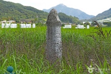 사곡리남근석 관광 정보와 주변 관광 명소 및 근처 맛집 여행 정보
