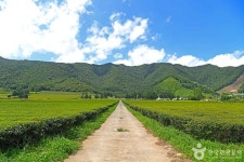 판소리성지 - 주변 여행 및 근처 관광 명소 - 국내 여행 정보와 관광 명소 정보