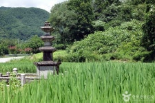 병곡횟집 - 주변 여행 및 근처 관광 명소 - 국내 여행 정보와 관광 명소 정보