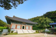 인곡리 모과나무 관광 정보와 주변 관광 명소 및 근처 맛집 여행 정보