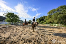 신갈승마클럽 레저스포츠 정보와 주변 관광 명소 및 근처 맛집 여행 정보