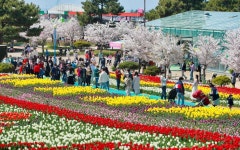 코리아플라워파크 관광 정보와 주변 관광 명소 및 근처 맛집 여행 정보