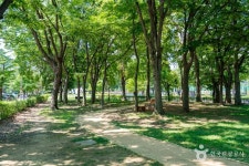 성포예술공원 문화 정보와 주변 관광 명소 및 근처 맛집 여행 정보