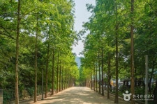 법장사(대구) - 주변 여행 및 근처 관광 명소 - 국내 여행 정보와 관광 명소 정보