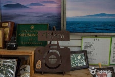 자연사랑미술관 문화 정보와 주변 관광 명소 및 근처 맛집 여행 정보