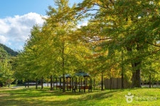 충주다목적댐 물 문화관 관광 정보와 주변 관광 명소 및 근처 맛집 여행 정보