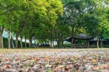 구암팜스테이마을 관광 정보와 주변 관광 명소 및 근처 맛집 여행 정보