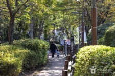 궁동저수지 생태공원 관광 정보와 주변 관광 명소 및 근처 맛집 여행 정보