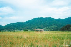 순천만습지 관광 정보와 주변 관광 명소 및 근처 맛집 여행 정보