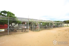 テーマ動物園ジュジュ（ZooZoo）（테마동물원 쥬쥬） - 観光 - 韓国旅行・観光情報