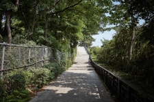 Hyosajeong Pavilion (효사정) - Sightseeing - Korea travel and tourism information