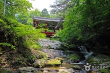 泰安寺（태안사） - 観光 - 韓国旅行・観光情報