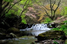 剛泉山郡立公園（강천산 군립공원） - 観光 - 韓国旅行・観光情報