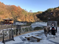 경주 문무대왕릉 - 주변 여행 및 근처 관광 명소 - 국내 여행 정보와 관광 명소 정보