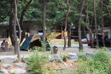 횡성 풍수원천주교회(풍수원성당) - 주변 여행 및 근처 관광 명소 - 국내 여행 정보와 관광 명소 정보