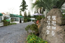 서귀포천문과학문화관 - 주변 여행 및 근처 관광 명소 - 국내 여행 정보와 관광 명소 정보