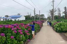 대정성지 - 주변 여행 및 근처 관광 명소 - 국내 여행 정보와 관광 명소 정보