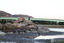 망산도·유주암 관광 정보와 주변 관광 명소 및 근처 맛집 여행 정보