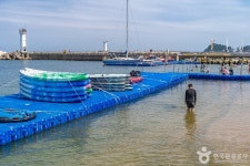 장사어촌체험마을 관광 정보와 주변 관광 명소 및 근처 맛집 여행 정보