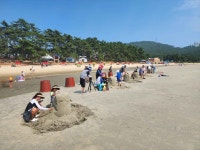 송호해변 여름축제 최신 축제 공연 행사 정보와 주변 관광 명소 및 근처 맛집 여행 정보