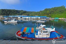 화진포박포수가든 - 주변 여행 및 근처 관광 명소 - 국내 여행 정보와 관광 명소 정보