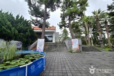 카이 호스텔 - 주변 여행 및 근처 관광 명소 - 국내 여행 정보와 관광 명소 정보