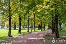 노작호수공원 관광 정보와 주변 관광 명소 및 근처 맛집 여행 정보