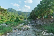 다옴 햇골 캠핑장 - 주변 여행 및 근처 관광 명소 - 국내 여행 정보와 관광 명소 정보