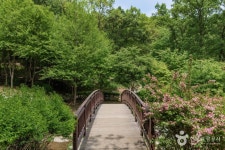 우면산자연생태공원 관광 정보와 주변 관광 명소 및 근처 맛집 여행 정보