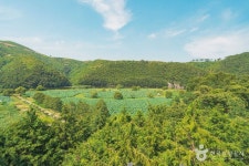 회야댐 생태습지 관광 정보와 주변 관광 명소 및 근처 맛집 여행 정보