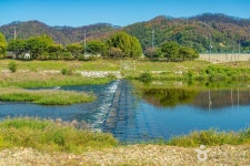 금소생태공원 관광 정보와 주변 관광 명소 및 근처 맛집 여행 정보