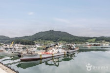 비마이아일랜드 - 주변 여행 및 근처 관광 명소 - 국내 여행 정보와 관광 명소 정보