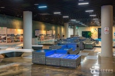 충주다목적댐 물 문화관 관광 정보와 주변 관광 명소 및 근처 맛집 여행 정보