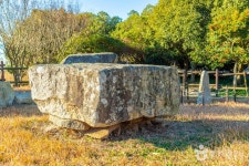 읍리지석묘와 하마비 관광 정보와 주변 관광 명소 및 근처 맛집 여행 정보
