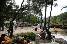 松亭自然休養林（송정 자연휴양림） - 観光 - 韓国旅行・観光情報