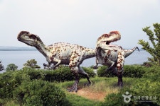 Tracksite of Dinosaurs, Pterosaurs, and Birds in Uhang-ri (우항리 공룡화석자연사유적지) - Sightseeing - Korea travel and... 
