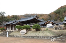 1000여 번의 손길로 가야금을 만들다, 김동환 명사 > 여행기사 | |지역명사문화여행:대한민국 구석구석